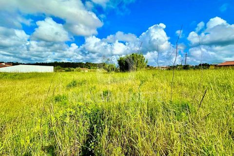 Helårsgrund i Lavos, Coimbra, Lavos - € 80.000 | Ref: HR 1833 - foto 11