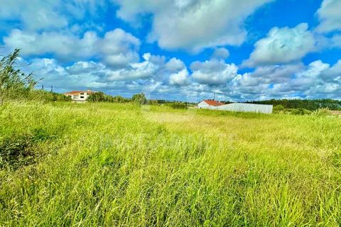 Helårsgrund i Lavos, Coimbra, Lavos - € 80.000 | Ref: HR 1833 - foto 13