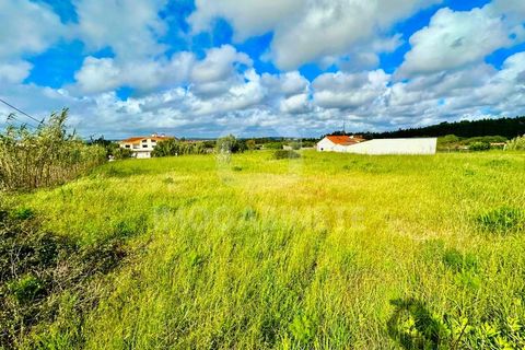 Helårsgrund i Lavos, Coimbra, Lavos - € 80.000 | Ref: HR 1833 - foto 16