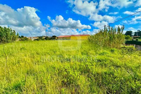 Helårsgrund i Lavos, Coimbra, Lavos - € 80.000 | Ref: HR 1833 - foto 17