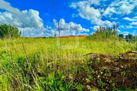 Helårsgrund i Lavos, Coimbra, Lavos - € 80.000 | Ref: HR 1833 - foto 18