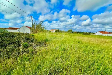 Helårsgrund i Lavos, Coimbra, Lavos - € 80.000 | Ref: HR 1833 - foto 19