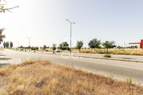 Helårsgrund i Evora, Evora, Evora - € 1.200.000 | Ref: 318/T/03606 - foto 8