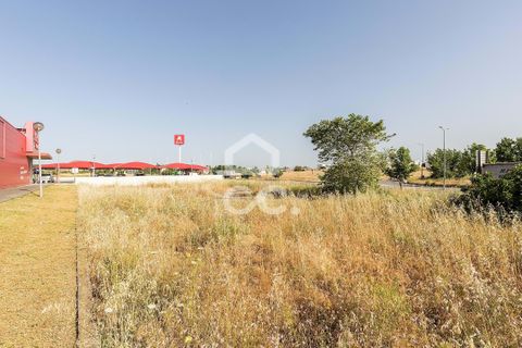 Helårsgrund i Evora, Evora, Evora - € 1.200.000 | Ref: 318/T/03606 - foto 11
