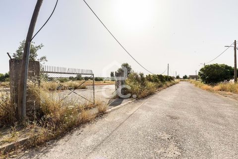Helårsgrund i Evora, Evora, Evora - € 1.200.000 | Ref: 318/T/03606 - foto 13