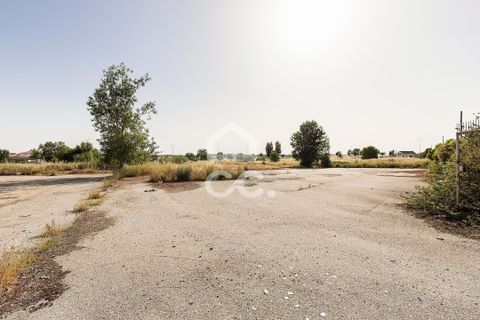 Helårsgrund i Evora, Evora, Evora - € 1.200.000 | Ref: 318/T/03606 - foto 14