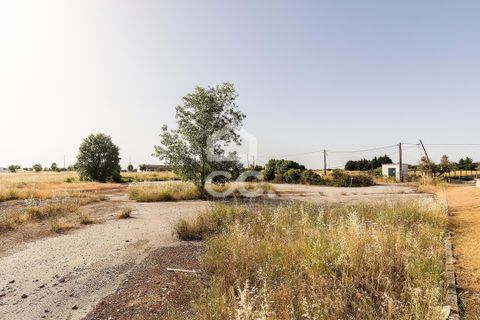 Helårsgrund i Evora, Evora, Evora - € 1.200.000 | Ref: 318/T/03606 - foto 15