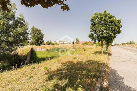 Helårsgrund i Evora, Evora, Evora - € 1.200.000 | Ref: 318/T/03606 - foto 16