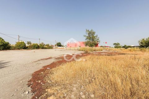 Helårsgrund i Evora, Evora, Evora - € 1.200.000 | Ref: 318/T/03606 - foto 17