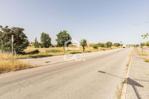 Helårsgrund i Evora, Evora, Evora - € 1.200.000 | Ref: 318/T/03606 - foto 24