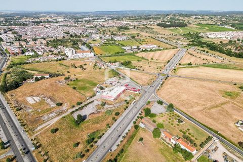Helårsgrund i Evora, Evora, Evora - € 1.200.000 | Ref: 318/T/03606 - foto 29