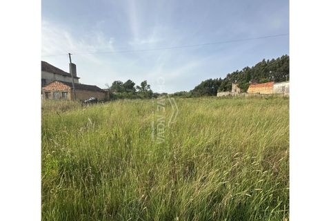 Helårsgrund i Anadia, Aveiro, Anadia - € 60.000 | Ref: AVR/00688 - foto 1