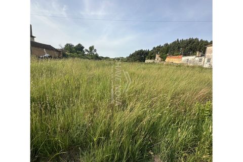 Helårsgrund i Anadia, Aveiro, Anadia - € 60.000 | Ref: AVR/00688 - foto 2