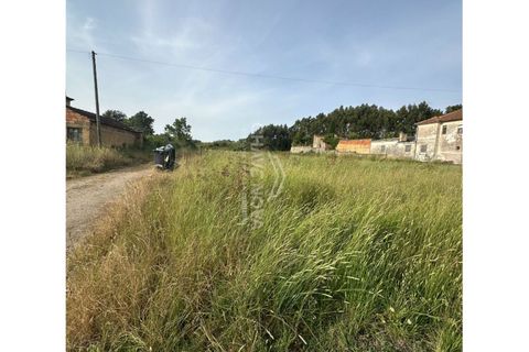 Helårsgrund i Anadia, Aveiro, Anadia - € 60.000 | Ref: AVR/00688 - foto 3