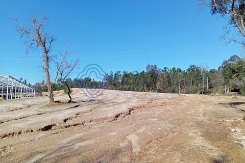 Helårsgrund i Ovar, Aveiro, Ovar - € 235.000 | Ref: 1105301 - foto 7
