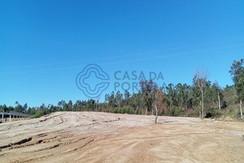 Helårsgrund i Ovar, Aveiro, Ovar - € 235.000 | Ref: 1105301 - foto 8