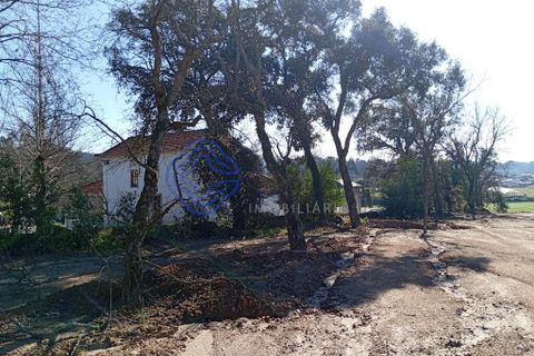 Helårsgrund i Ovar, Aveiro, Ovar - € 235.000 | Ref: 1105301 - foto 16