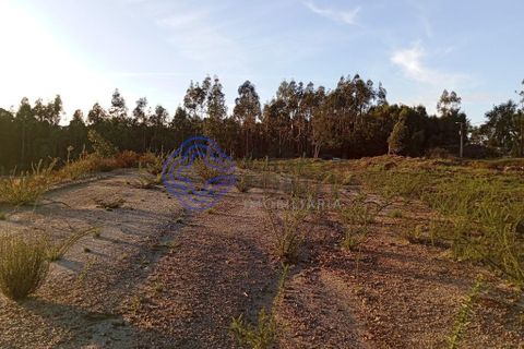 Helårsgrund i Ovar, Aveiro, Ovar - € 235.000 | Ref: 1105301 - foto 17