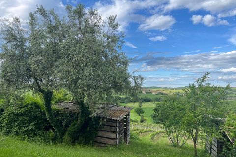 Villa a Montecarotto, Ancona, Montecarotto - € 275.000 | Ref: F1020 - foto 16