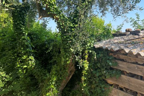 Villa a Montecarotto, Ancona, Montecarotto - € 275.000 | Ref: F1020 - foto 21