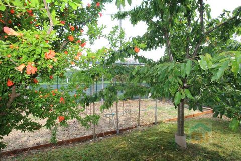 Rækkehus i Bagnaria Arsa, Udine, Bagnaria Arsa - € 112.000 | Ref: 3STR112LN2 - foto 10