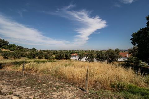 Helårsgrund i Coruche, Santarem, Coruche - € 430.000 | Ref: C0354-00510 - foto 4