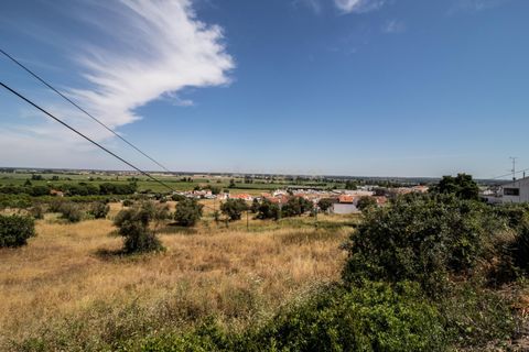 Helårsgrund i Coruche, Santarem, Coruche - € 430.000 | Ref: C0354-00510 - foto 5
