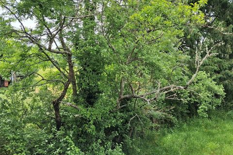 Villa a Ahun, Creuse, Ahun - € 62.500 | Ref: JWK-13490 - foto 20