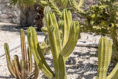 Villa i Estoi, Faro, Estoi - € 2.350.000 | Ref: SV-2052 - foto 18