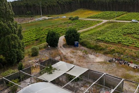 Helårsgrund i Torres Vedras, Lisbon, Torres Vedras - € 265.000 | Ref: KWPT-016662 - foto 11
