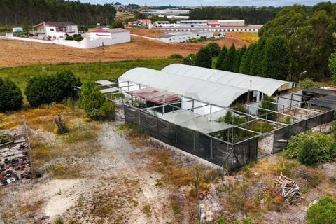 Helårsgrund i Torres Vedras, Lisbon, Torres Vedras - € 265.000 | Ref: KWPT-016662 - foto 12