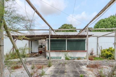 Helårsgrund i Torres Vedras, Lisbon, Torres Vedras - € 265.000 | Ref: KWPT-016662 - foto 16