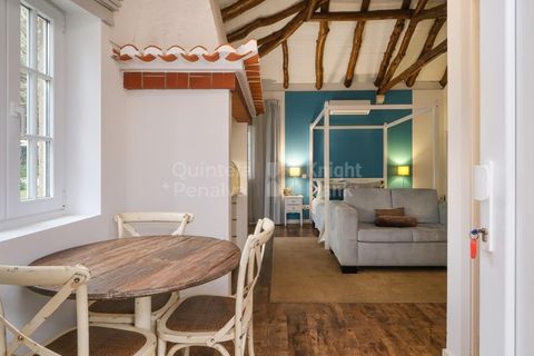 Farm i Sintra, Lisbon, Sintra - € 3.850.000 | Ref: PROP-031596 - foto 23