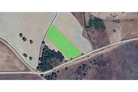Helårsgrund i Almeida, Guarda, Almeida - € 14.000 | Ref: Max-179-24 - foto 9