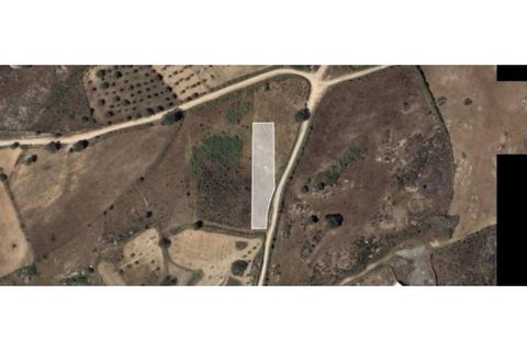 Helårsgrund i Almeida, Guarda, Almeida - € 10.000 | Ref: Max-178-24 - foto 3