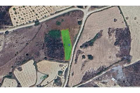 Helårsgrund i Almeida, Guarda, Almeida - € 10.000 | Ref: Max-178-24 - foto 1