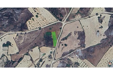 Helårsgrund i Almeida, Guarda, Almeida - € 10.000 | Ref: Max-178-24 - foto 9