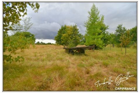 Masia a Touchay, Cher, Touchay - € 220.000 | Ref: 340931425489 - foto 46