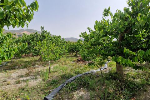 Finca i Lobres, Granada, Lobres - € 420.000 | Ref: M664 - foto 29
