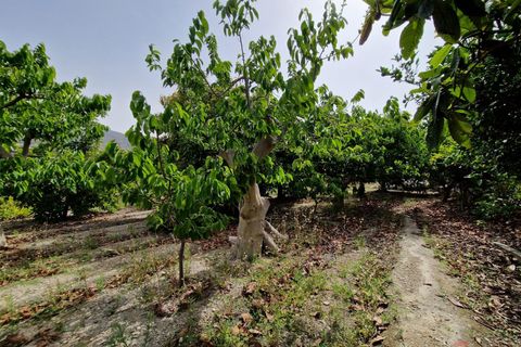 Finca i Lobres, Granada, Lobres - € 420.000 | Ref: M664 - foto 31