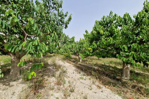 Finca i Lobres, Granada, Lobres - € 420.000 | Ref: M664 - foto 34