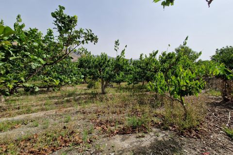 Finca i Lobres, Granada, Lobres - € 420.000 | Ref: M664 - foto 35