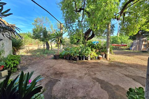 Landejendom i Pollenca, Mallorca, Pollenca - € 450.000 | Ref: EXP10023/8930 - foto 15