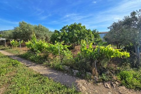 Landejendom i Pollenca, Mallorca, Pollenca - € 450.000 | Ref: EXP10023/8930 - foto 16