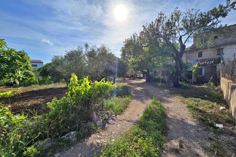 Landejendom i Pollenca, Mallorca, Pollenca - € 450.000 | Ref: EXP10023/8930 - foto 19