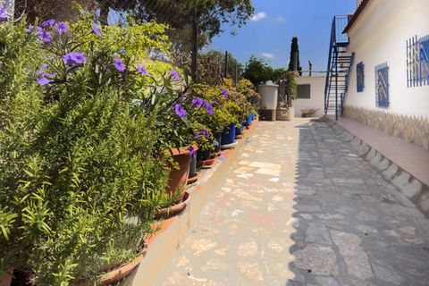 Villa i Albatera, Alicante, Albatera - € 260.000 | Ref: EXP10123/8930 - foto 22