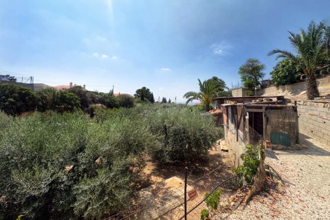 Villa i Albatera, Alicante, Albatera - € 260.000 | Ref: EXP10123/8930 - foto 29