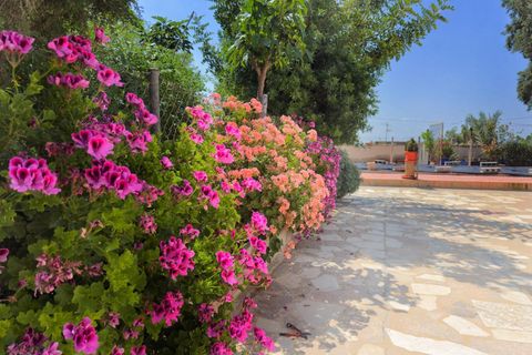 Villa i Albatera, Alicante, Albatera - € 260.000 | Ref: EXP10123/8930 - foto 33