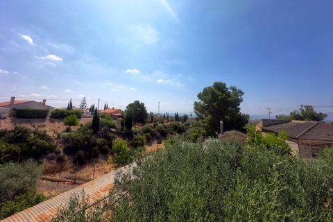 Villa i Albatera, Alicante, Albatera - € 260.000 | Ref: EXP10123/8930 - foto 39