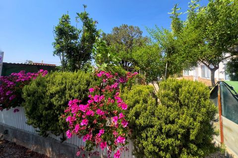 Villa i Albatera, Alicante, Albatera - € 260.000 | Ref: EXP10123/8930 - foto 41